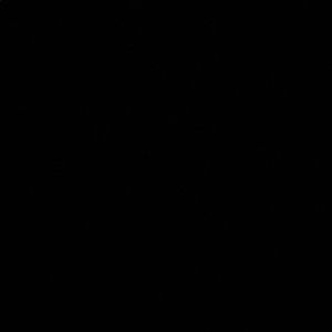 Meet your Posher, Natalia